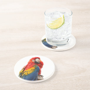 Posavasos De Arenisca Colorida Moda de Macao Clásico Mod Tropical