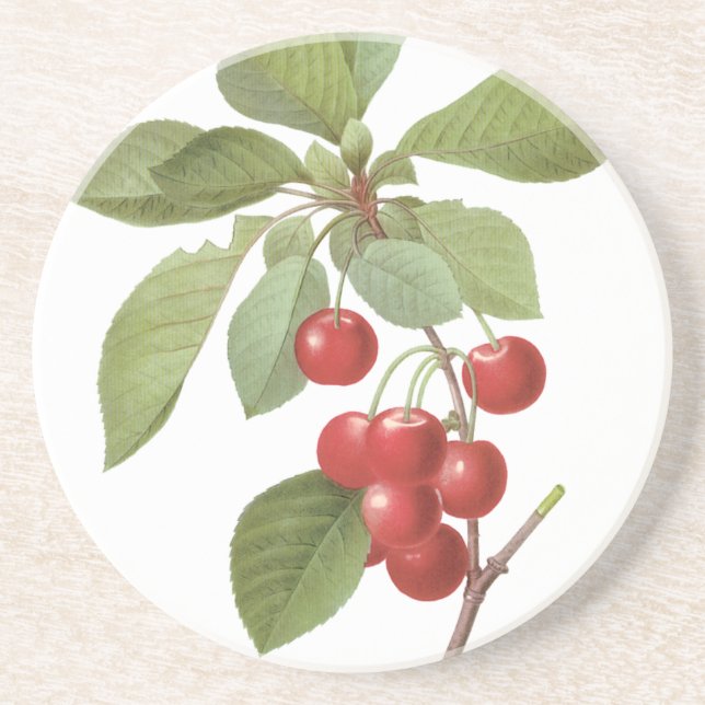 Posavasos De Arenisca Comida de cerezo de fruta de época, cerezas por re (Frente)