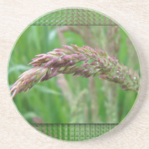 Posavasos De Arenisca Cómo la hierba hace la montaña rusa