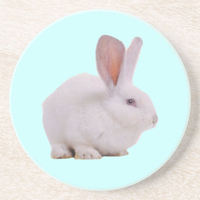 Posavasos De Arenisca Conejo Kawaii Lindo (Frente)
