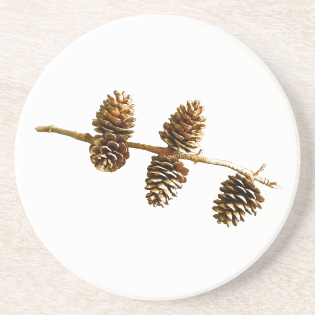 Posavasos De Arenisca Cones de pino (Frente)