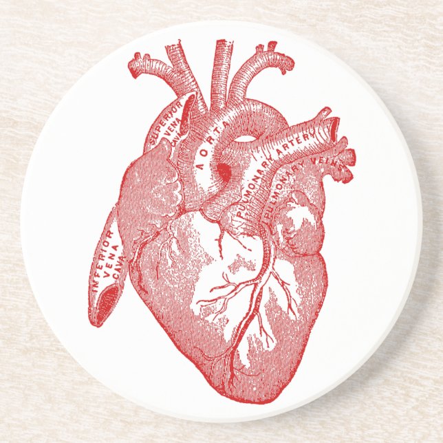Posavasos De Arenisca Corazón Anatómico de la Antigüedad Roja (Frente)