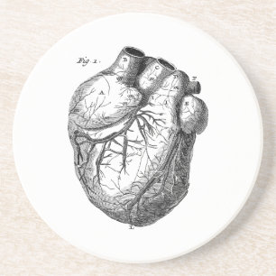 Posavasos De Arenisca Corazones cardiacos retros de la anatomía del