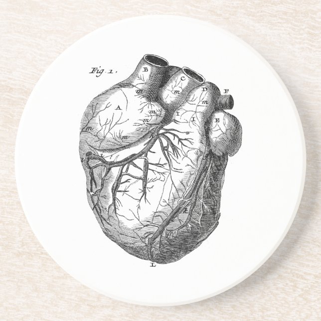 Posavasos De Arenisca Corazones cardiacos retros de la anatomía del (Frente)