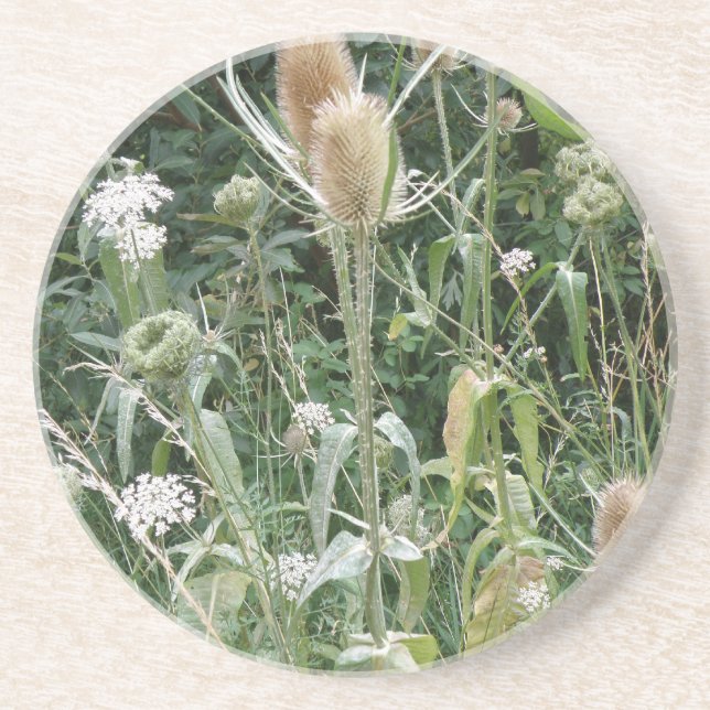 Posavasos De Arenisca Cosmos de hierbas silvestres (Frente)
