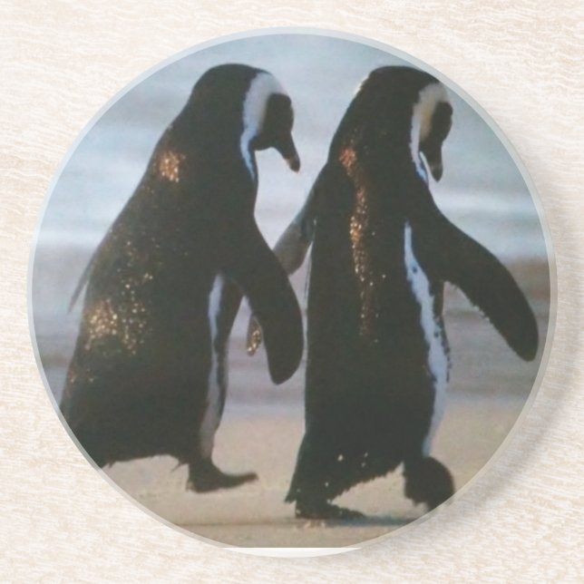 POSAVASOS DE ARENISCA COSTA DE ASOCIADOS PENGUINOS (Frente)
