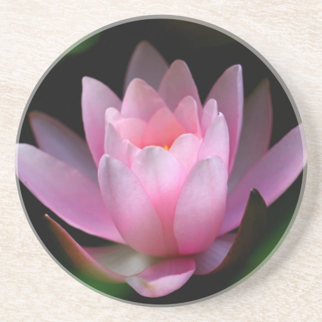 Posavasos De Arenisca coster de la flor (Frente)