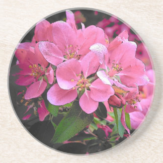 Posavasos De Arenisca Crabapple floreciente