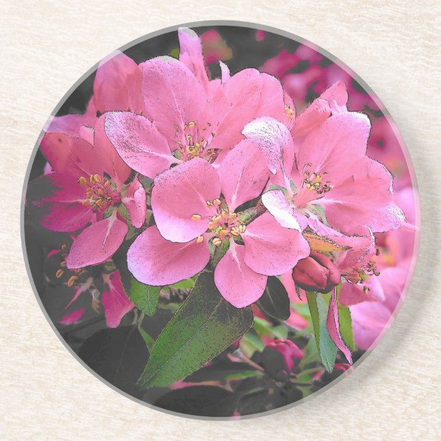 Posavasos De Arenisca Crabapple floreciente (Frente)