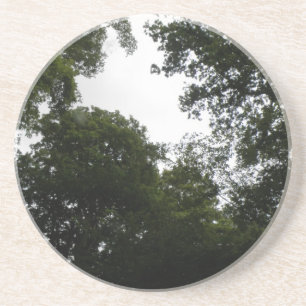 Posavasos De Arenisca Crepúsculo bosque de montaña