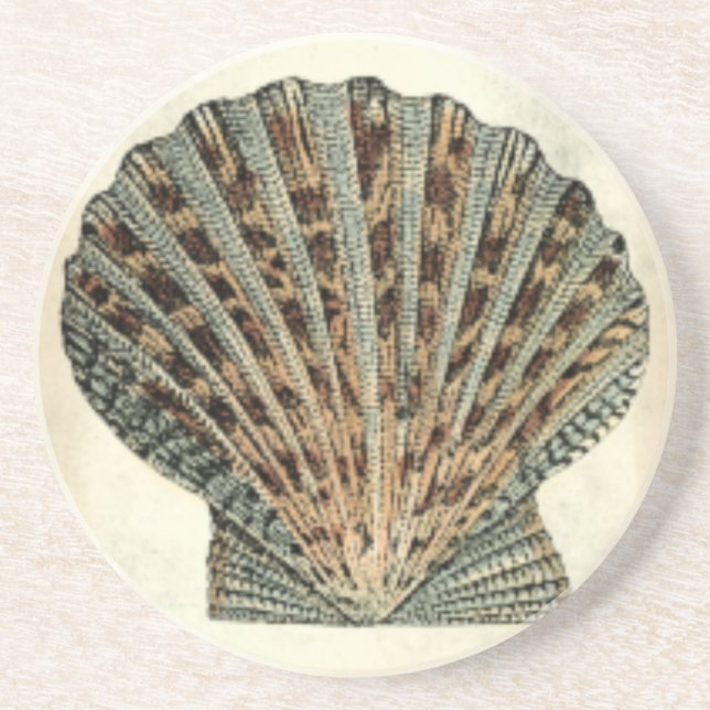 Posavasos De Arenisca Criaturas marinas a orillas del mar (Frente)