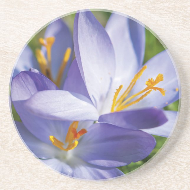 Posavasos De Arenisca Crocus (Frente)