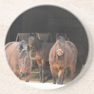 Posavasos De Arenisca Cuatro caballos