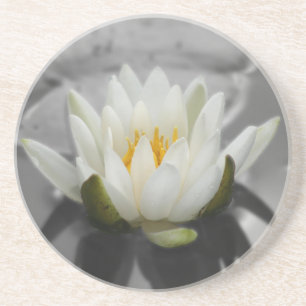 Posavasos De Arenisca Custodia floral de Lily Water