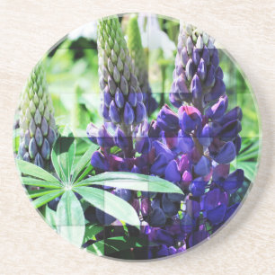 Posavasos De Arenisca Custodia Floral Púrpura Lupine
