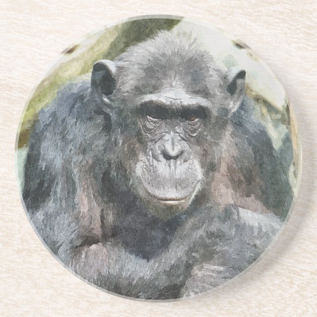 POSAVASOS DE ARENISCA CUTE CHIMPANZEE (Frente)