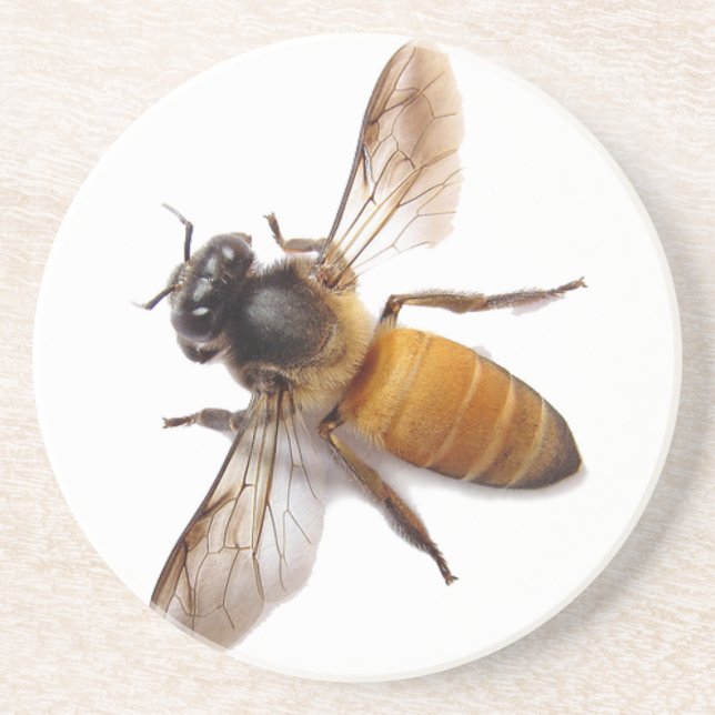 Posavasos De Arenisca Cute Honey Bee abeja abejorro  (Frente)