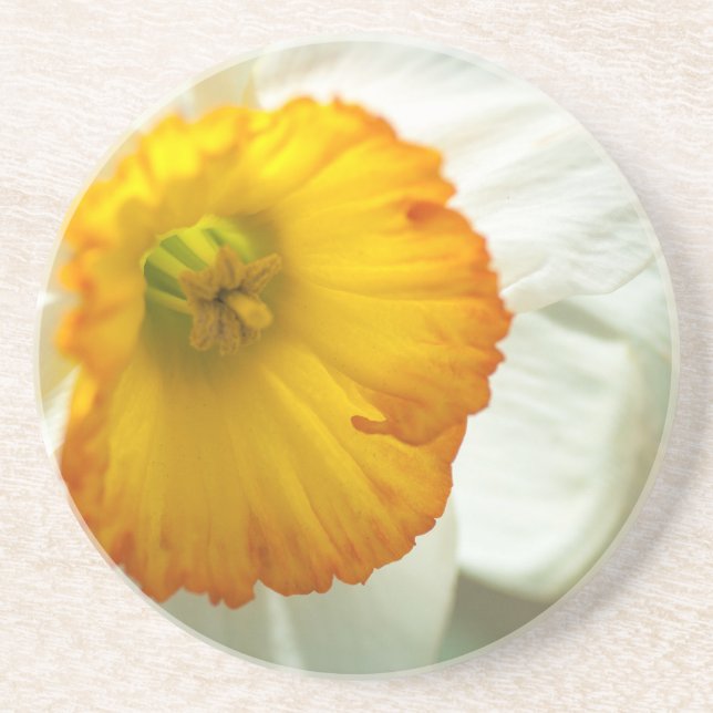 Posavasos De Arenisca Daffodil (Frente)