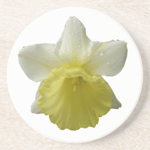 Posavasos De Arenisca Daffodil Daffodil Flower Coasters