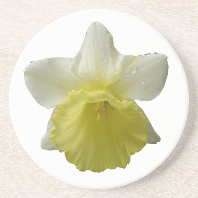 Posavasos De Arenisca Daffodil Daffodil Flower Coasters (Frente)