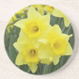 Posavasos De Arenisca Daffodils RF)