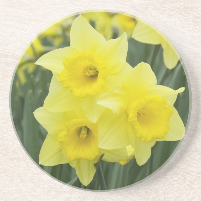 Posavasos De Arenisca Daffodils RF) (Frente)