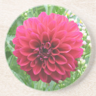 Posavasos de arenisca Dahlia Roja