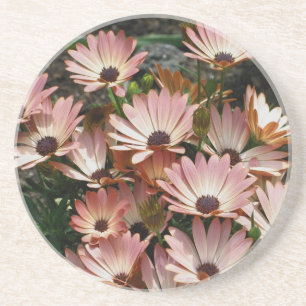 Posavasos De Arenisca Daisiana floral rosada africana