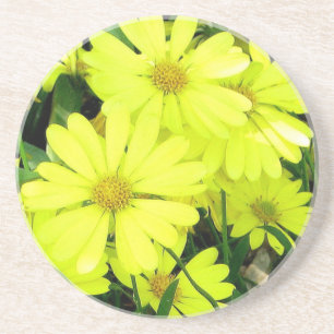 Posavasos De Arenisca Daisies Coaster
