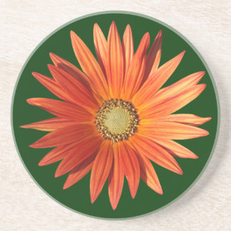 Posavasos De Arenisca Daisy africano