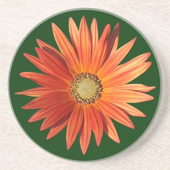 Posavasos De Arenisca Daisy africano (Frente)