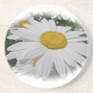 Posavasos De Arenisca Daisy blanco