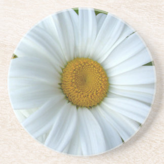Posavasos De Arenisca Daisy Coasters Wildflower Decoración y regalos