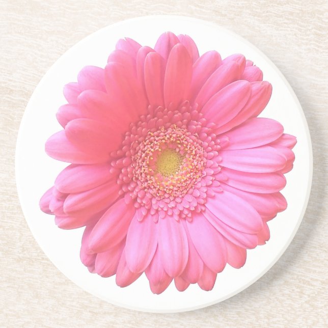 Posavasos De Arenisca Daisy gerbera rosada (Frente)