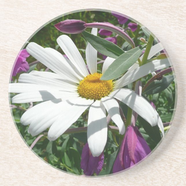 Posavasos De Arenisca Daisy y Fireweed Wildflower (Frente)