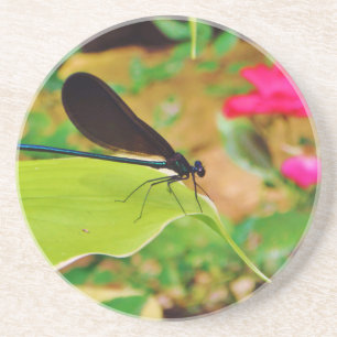 Posavasos De Arenisca Damselfly y Rosa