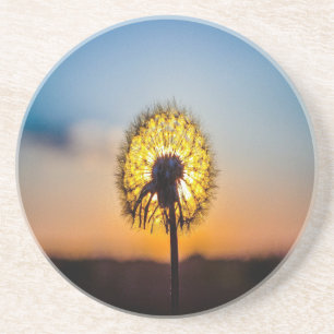 Posavasos De Arenisca Dandelion al amanecer