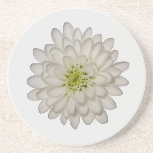 Posavasos de arenisca de crisantemo blanco (Frente)