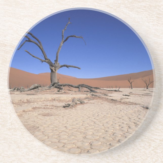 Posavasos De Arenisca Dead Vlei, Sossusvlei, Namib-Naukluft Nacional (Frente)