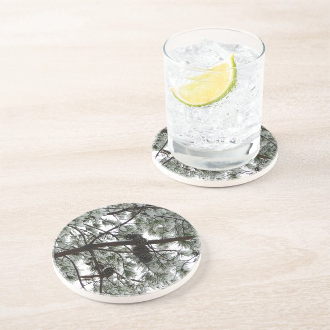 Posavasos De Arenisca Debajo de la foto del invierno de un pino cubierto (Lado)