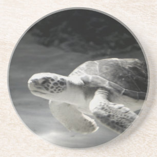 Posavasos De Arenisca Decoración del hogar de la mesa de tortuga