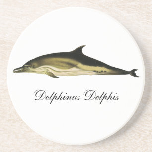 Posavasos De Arenisca Delfín Delphinus Delphis, Animales Marinos Antiguo