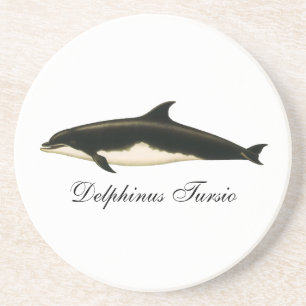 Posavasos De Arenisca Delfines Delphinus Tursio, Animales Marinos Antigu