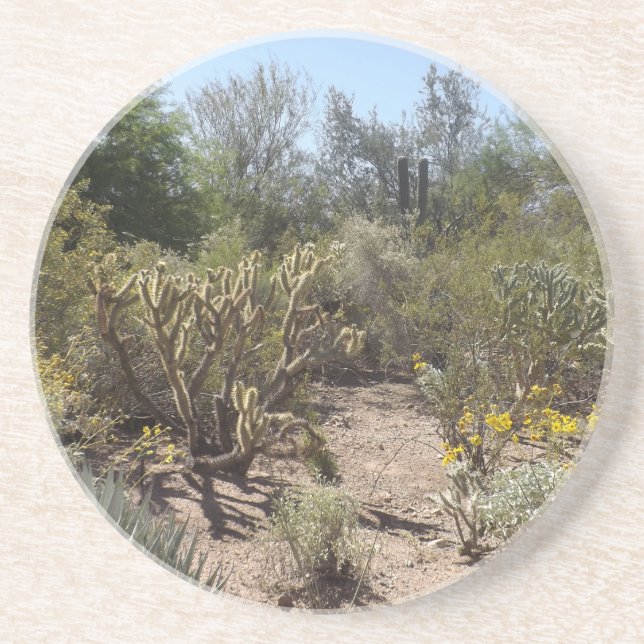 Posavasos De Arenisca Desierto (Frente)