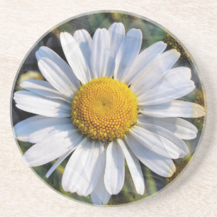 POSAVASOS DE ARENISCA DÍAS