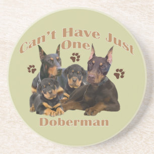 Posavasos De Arenisca Doberman no puede tener solamente una montaña rus