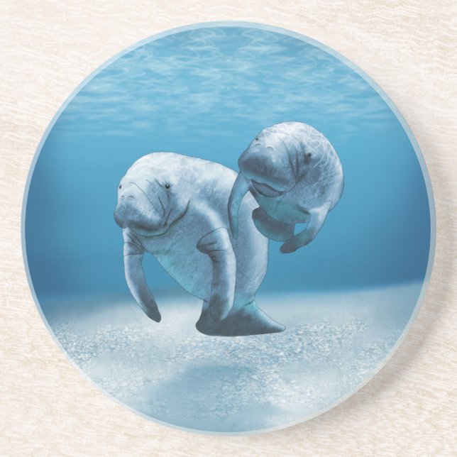 Posavasos De Arenisca Dos Manatees que nadan (Frente)