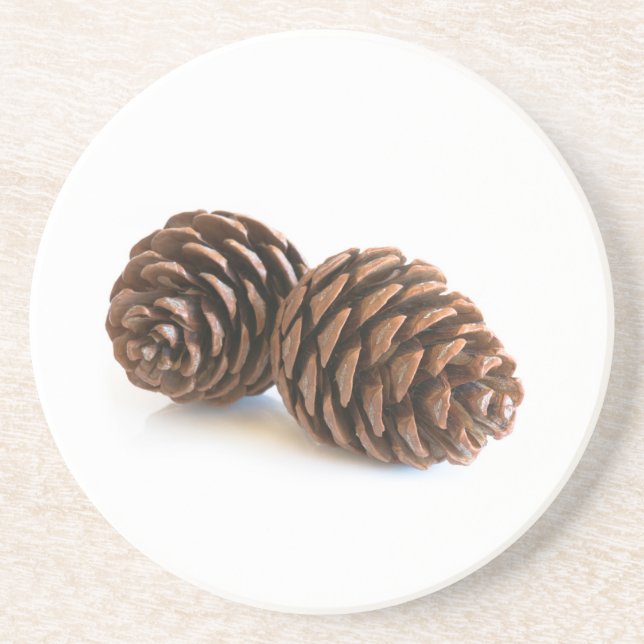 Posavasos De Arenisca Dos pinecones (Frente)