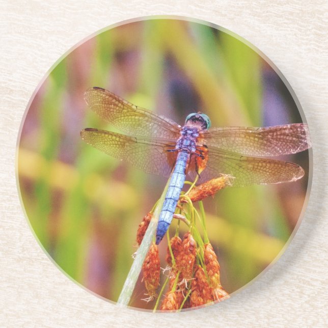 Posavasos De Arenisca Dragonfly verde azulado (Frente)