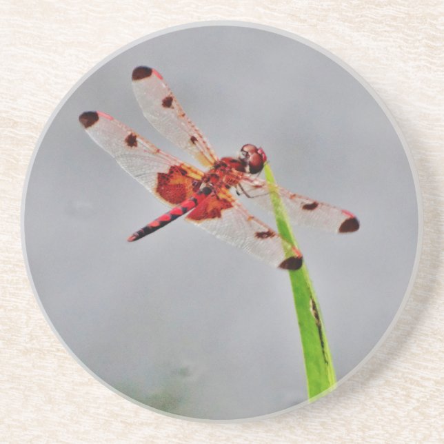 POSAVASOS DE ARENISCA DSC00029.JPG (Frente)